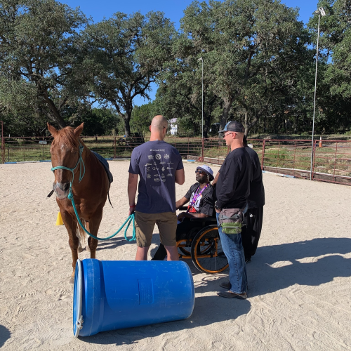 Group of Veterans working with Paulie the Horse