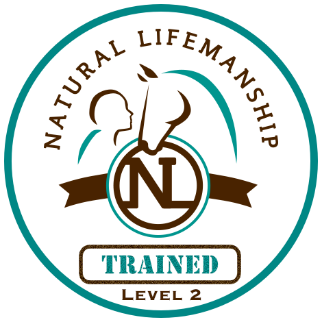 National Lifemanship Level 2 Badge